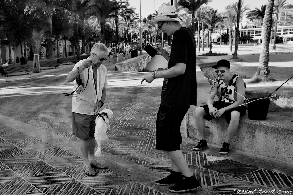 S'Arenal, 2013: Look, a flying dog!