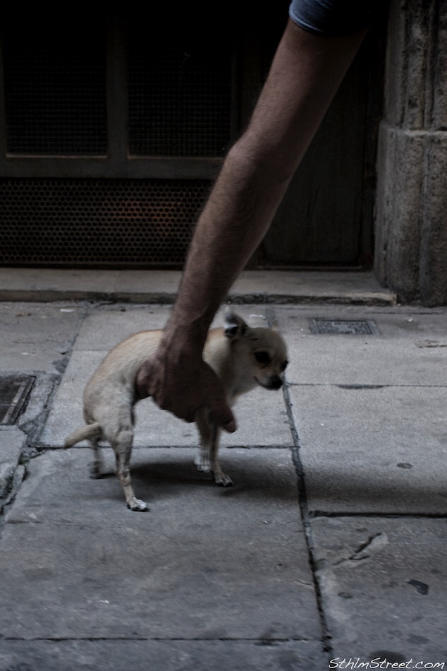 Barcelona, 2009: Intervetion